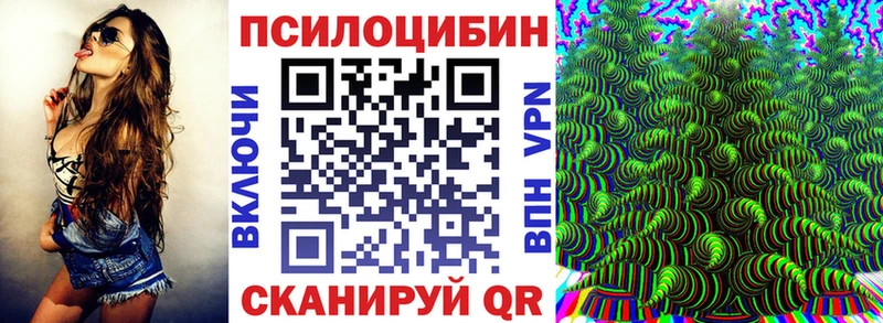 Купить закладки  Чапаевск  Галлюциногенные грибы прущие грибы 